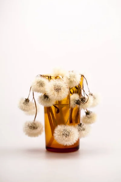 Composition Dandelion Seeds Small Glass Objects Grey Background — Stock Photo, Image