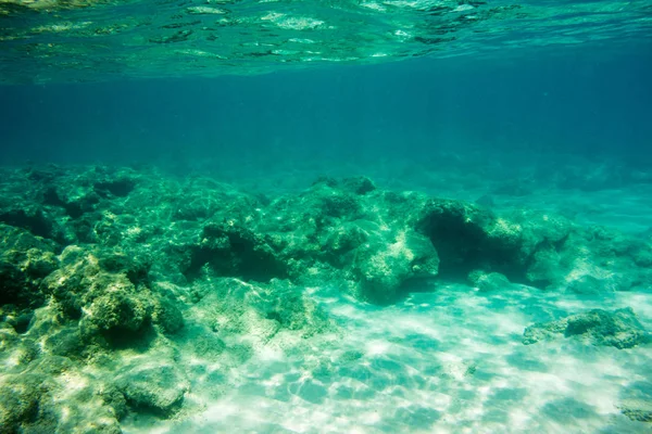 希腊扎金索斯的爱奥尼亚海水下纹理和动物区系 — 图库照片