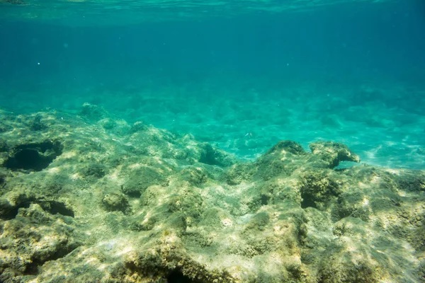 Textura Submarina Fauna Mar Jónico Zakynthos Grecia — Foto de Stock