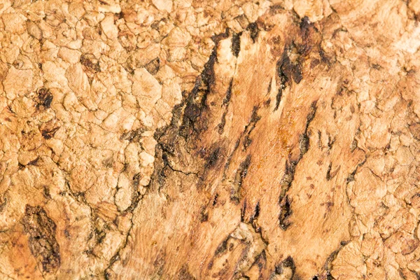 Tekstura Cork Tekstury Tła — Zdjęcie stockowe