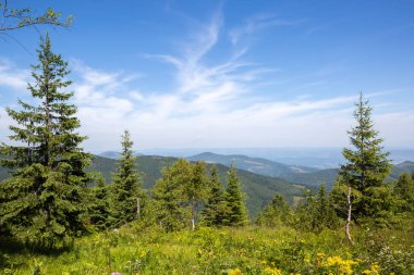 Retezat Ulusal Parkı, Hunedoara Bölgesi, Karpat Dağları, Romanya