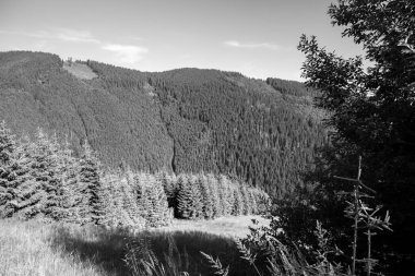 Retezat Ulusal Parkı, Hunedoara Bölgesi, Karpat Dağları, Romanya