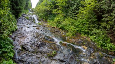 Rausor Şelalesi, Retezat Ulusal Parkı, Hunedoara Bölgesi, Romanya