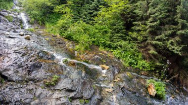 Rausor Şelalesi, Retezat Ulusal Parkı, Hunedoara Bölgesi, Romanya