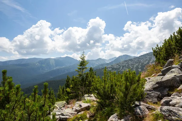 Retezat National Park Hunedoara County Carpathian Mountains Roménia — Fotografia de Stock