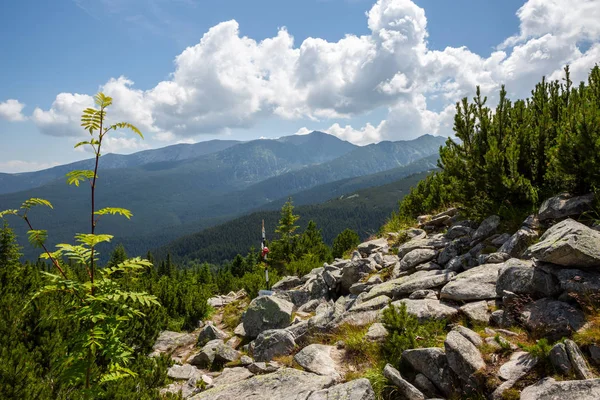 Retezat National Park Hunedoara County Carpathian Mountains Roménia — Fotografia de Stock