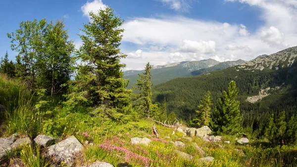 Retezat Nationalpark Hunedoara Län Karpaterna Rumänien — Stockfoto