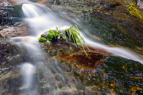 Rausor Waterfall Retezat National Park Hunedoara County Romania — Stock Photo, Image