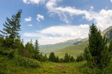 Retezat Ulusal Parkı, Hunedoara Bölgesi, Karpat Dağları, Romanya