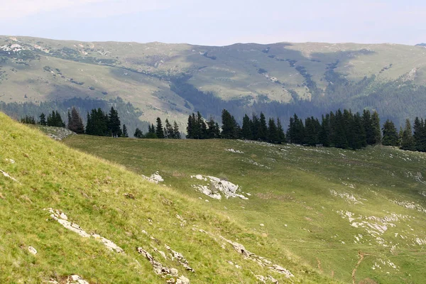 Пейзаж Гор Бучеги Часть Южных Карпат Румынии — стоковое фото