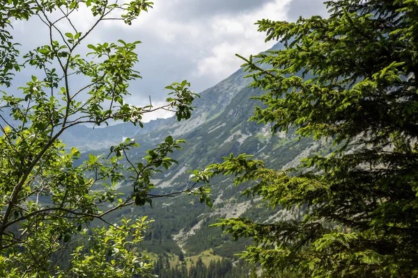 Retezat National Park Hunedoara County Carpathian Mountains Roménia — Fotografia de Stock