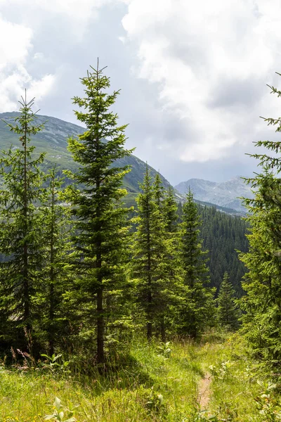 Parque Nacional Retezat Condado Hunedoara Montañas Cárpatas Rumania — Foto de Stock