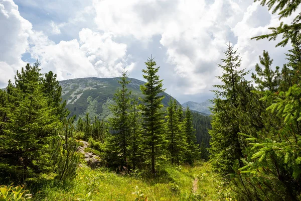 Retezat Nationalpark Hunedoara Län Karpaterna Rumänien — Stockfoto