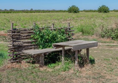 Tahta masa ve bank. Tarlada çalışanlar için dinlenme yeri.