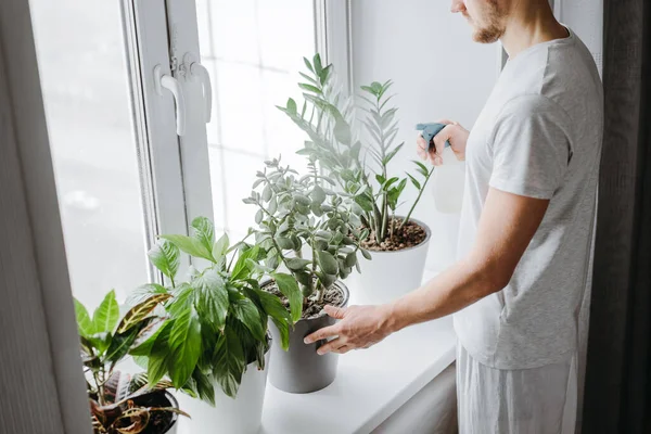 Homem Pulverizando Água Uma Planta Casa Flor Com Uma Garrafa Fotos De Bancos De Imagens