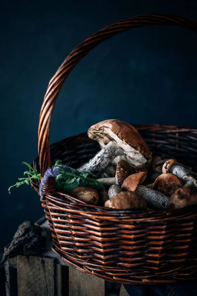 Basket Forest Mushrooms Dark Background Rustic Style — Stock Photo, Image