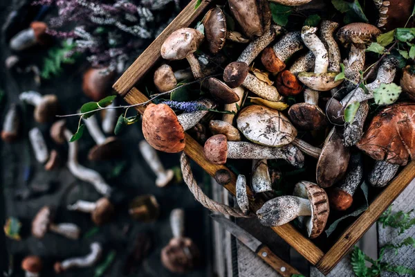 Varied Forest Mushrooms Wooden Box Top View — Stock Photo, Image