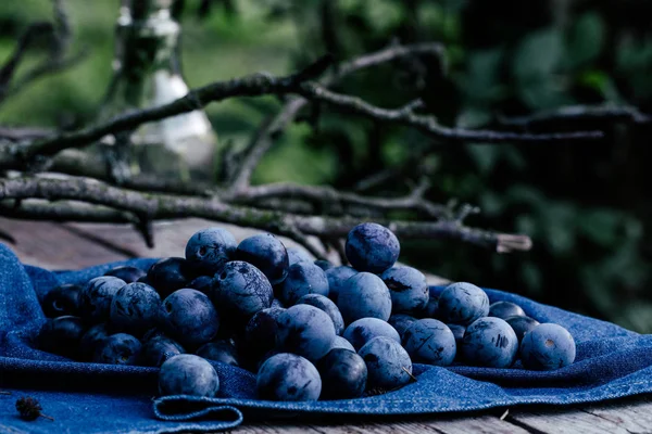 Oogst Van Rijpe Blauwe Pruimen Een Houten Tafel Tuin Rustieke — Stockfoto