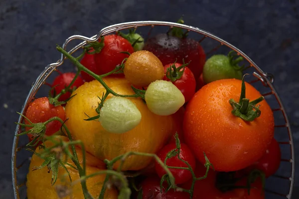 Vista Superior Gotas Rocío Tomates Multicolores Una Cesta — Foto de Stock