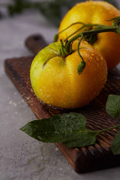 Spatten Vallen Verse Gele Tomaten — Stockfoto