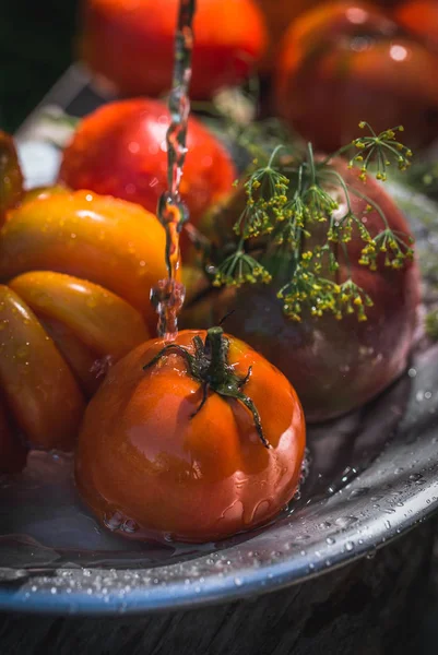 Frische bunte Tomaten — Stockfoto