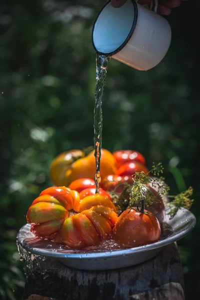 Świeże pomidory kolorowy — Zdjęcie stockowe