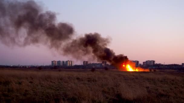 Saisonale Steppenbrände. Großbrand auf einem Feld mit trockenem Gras in der Nähe der Stadt. Brennende Landung. Flammen aus Feuer und Rauch. Außergewöhnlicher Vorfall. — Stockvideo