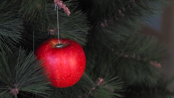 Vejetaryen Noel konseri. Ağaç taze meyvelerle süslenmiş. Kırmızı arka planda bir çam dalında çiğ elma. Minimalizm ve çevre dostu ziyan olmadan kutlama fikri. Boşluğu kopyala — Stok video