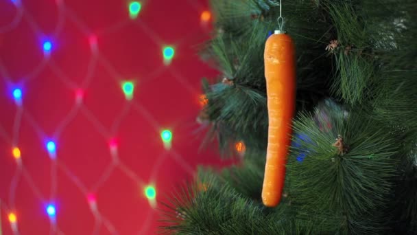 Veganes Weihnachtskonzert. Der Baum ist mit frischem Gemüse geschmückt. rohe Möhren auf einem Kiefernzweig auf rotem Grund mit Bokeh. Idee von Minimalismus und umweltfreundlichem Feiern ohne Verschwendung. Kopierraum — Stockvideo