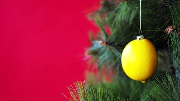 Veganes Weihnachtskonzert. Der Baum ist mit frischem Gemüse geschmückt. rohe Zitrone auf einem Kiefernzweig auf rotem Hintergrund. Die Idee von Minimalismus und umweltfreundlichem Feiern ohne Verschwendung. Kopierraum — Stockvideo