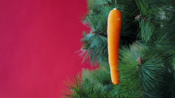 Concerto de Natal Vegan. árvore é decorada com legumes frescos. cenouras cruas em um ramo de pinheiro em um contexto vermelho. A ideia de minimalismo e celebração ecológica sem desperdício. Espaço de cópia — Vídeo de Stock