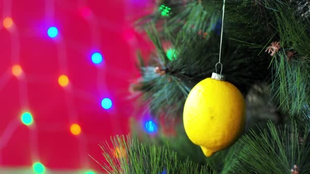 Veganes Weihnachtskonzert. Der Baum ist mit frischem Obst geschmückt. rohe Zitrone auf einem Kiefernzweig auf rotem Hintergrund mit Bokeh. Die Idee von Minimalismus und umweltfreundlichem Feiern ohne Verschwendung. Kopierraum — Stockvideo