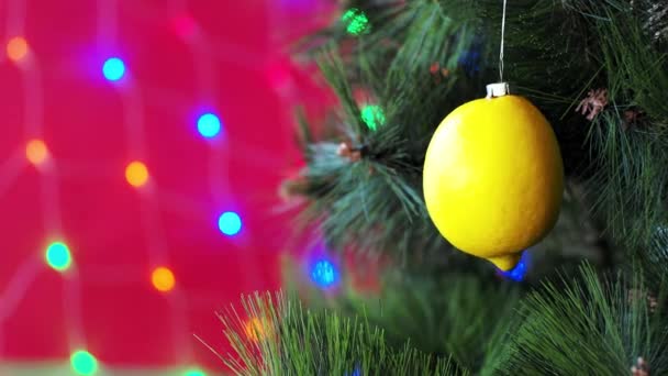 Vegansk julkonsert. Trädet är dekorerat med färsk frukt. rå citron på en tall gren på en röd bakgrund med bokeh. Tanken på minimalism och miljövänligt firande utan slöseri. Kopiera utrymme — Stockvideo