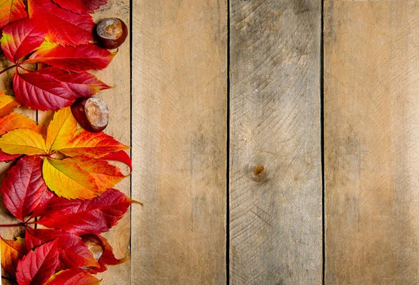 Herbstleuchtende gelb-rote Blätter auf einem hölzernen Hintergrund. Mit Kopierraum. Zusammensetzung aus Kastanien und Blättern von Jungtrauben auf einem natürlichen Tisch aus Brettern. Ansicht von oben. Flatlay. — Stockfoto