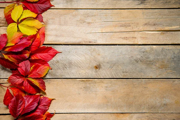 Herbstleuchtende gelb-rote Blätter auf einem hölzernen Hintergrund. Mit Kopierraum. Zusammensetzung der Blätter von Jungtrauben auf einem natürlichen Tisch aus Brettern. Ansicht von oben. Flatlay. — Stockfoto
