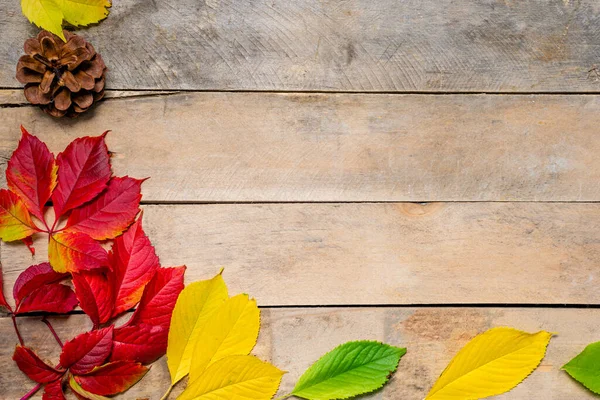 Herbstleuchtende gelb-rote Blätter auf einem hölzernen Hintergrund. Mit Kopierraum. Zusammensetzung der Blätter von Jungtrauben auf einem natürlichen Tisch aus Brettern. Ansicht von oben. Flatlay. — Stockfoto