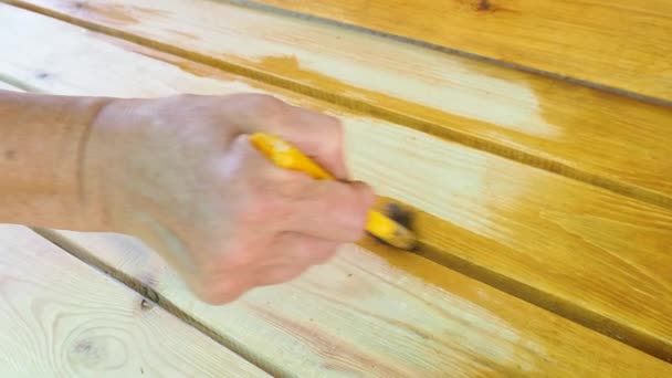 防風林塗料で木製のベンチを塗装します。女性の手はブラシで黄色の含浸を適用します。昆虫からの表面処理。DIYの概念。閉じろ!. — ストック動画