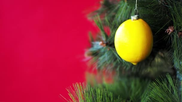 Concerto de Natal Vegan. árvore é decorada com legumes frescos. limão cru em um ramo de pinheiro em um contexto vermelho. A ideia de minimalismo e celebração ecológica sem desperdício. Espaço de cópia — Vídeo de Stock
