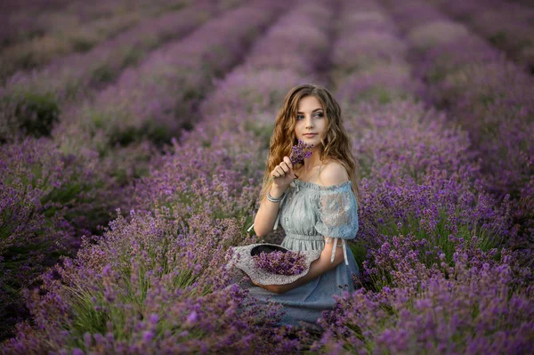 Mulher Vestido Incrível Andar Campo Lavanda — Fotografia de Stock