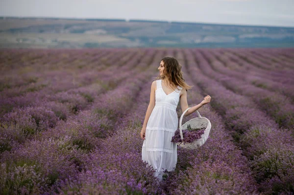 Mulher Vestido Incrível Andar Campo Lavanda — Fotografia de Stock