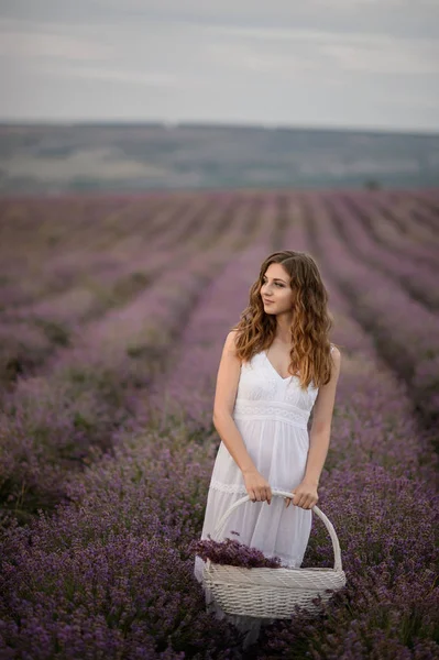 Mulher Vestido Incrível Andar Campo Lavanda — Fotografia de Stock