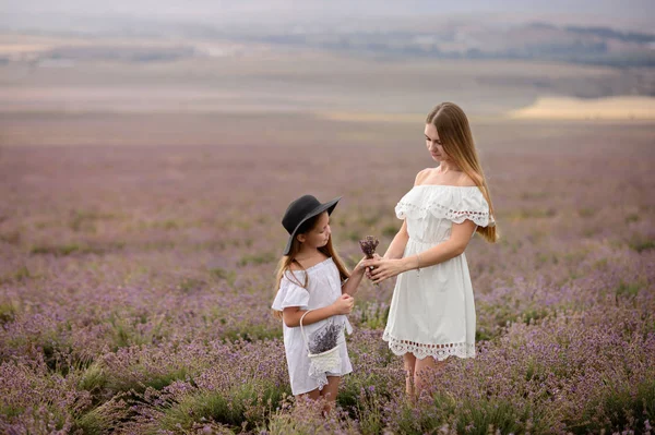 Mãe Menina Caminham Campo Lavanda — Fotografia de Stock