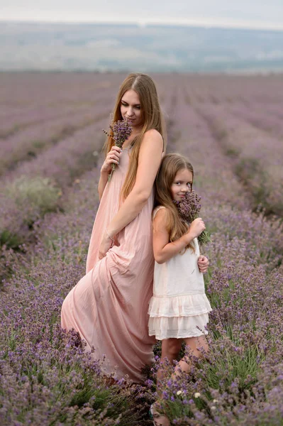 Mãe Menina Caminham Campo Lavanda — Fotografia de Stock