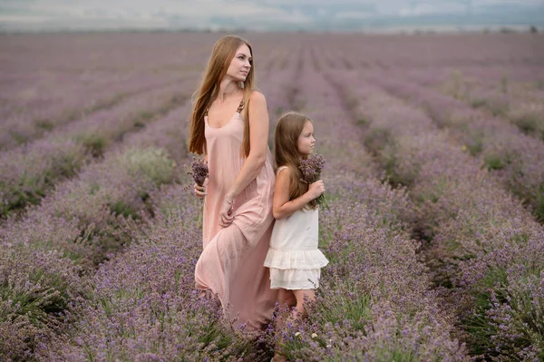 Mãe Menina Caminham Campo Lavanda — Fotografia de Stock