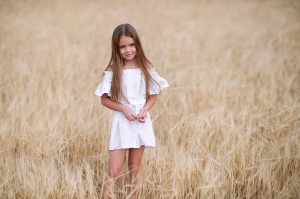 Girl Amazing Clothes Walking Field Rye — Stock Photo, Image