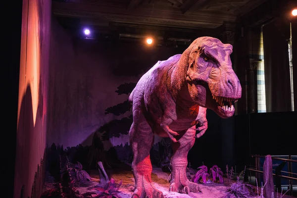 As pessoas viajam para visitar em movimento e rugindo T Rex em delícias de luz vermelha no Museu de História Natural em Londres Reino Unido — Fotografia de Stock