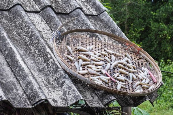 Сухая рыба на бамбуковой корзине — стоковое фото