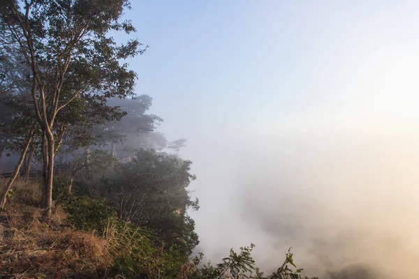 Hermosa vista de la niebla al amanecer en Pha Mor E-Dang, Sisaket , —  Fotos de Stock