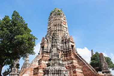 Wat Chaiwatthanaram tapınağındaki Pagoda. Ayutthaya 'nın en etkileyici tapınaklarından biri..