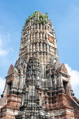 Wat Chaiwatthanaram Tapınağı. Ayutthaya 'nın en etkileyici tapınaklarından biri..